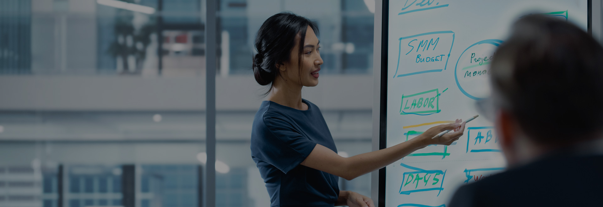 独立软件开发商（ISV）